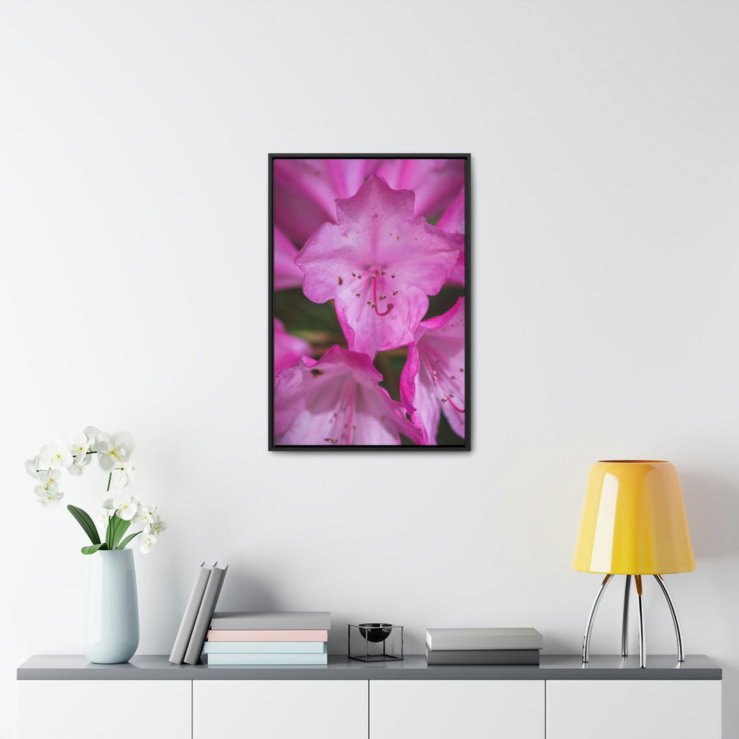 Soft Pinks - Canvas with Frame - Visiting This World