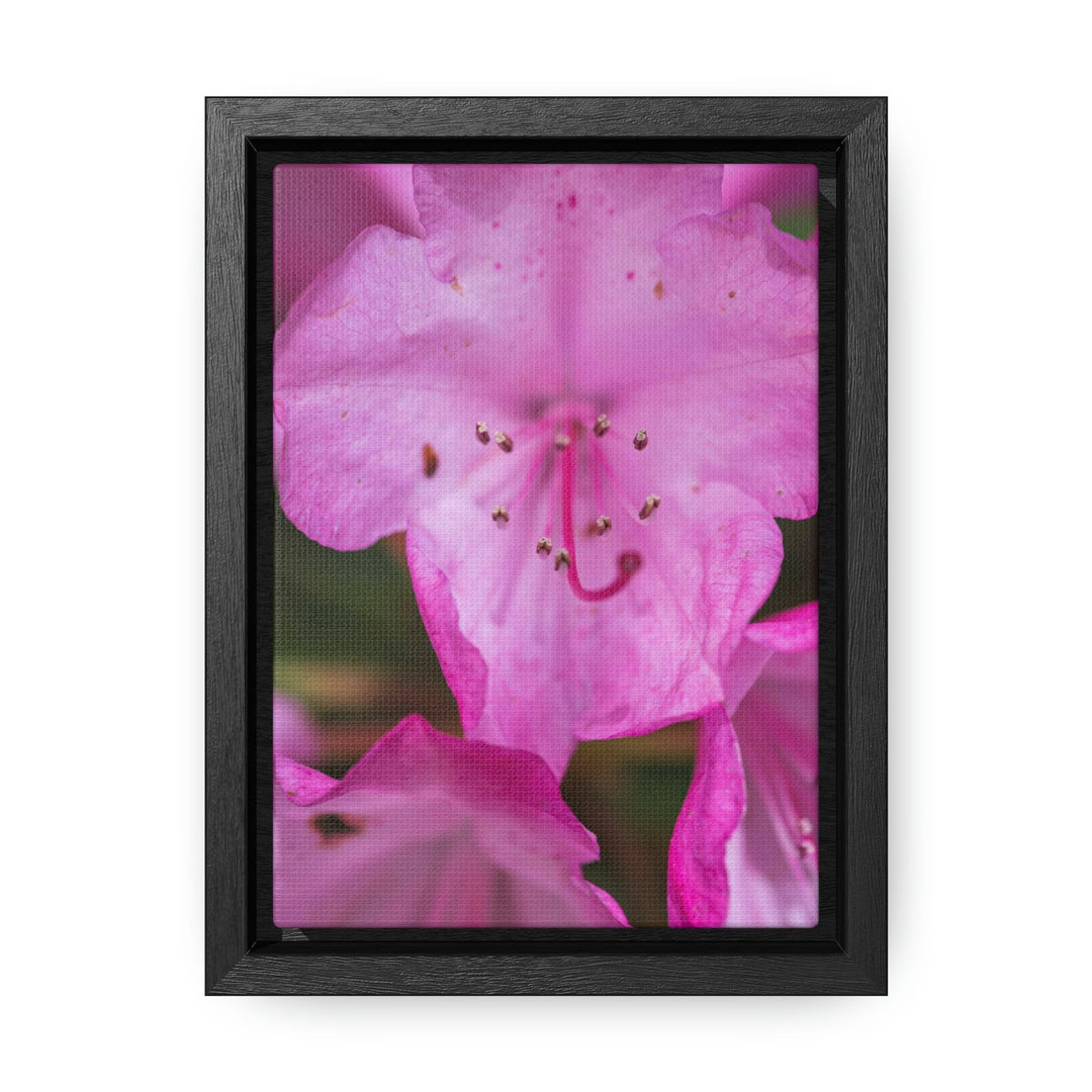 Soft Pinks - Canvas with Frame - Visiting This World