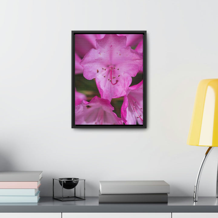 Soft Pinks - Canvas with Frame - Visiting This World