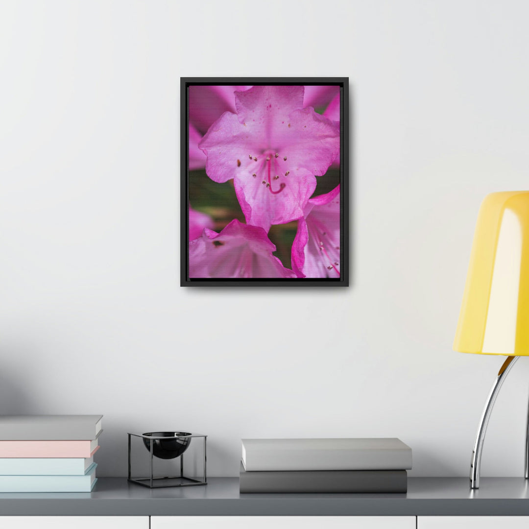 Soft Pinks - Canvas with Frame - Visiting This World