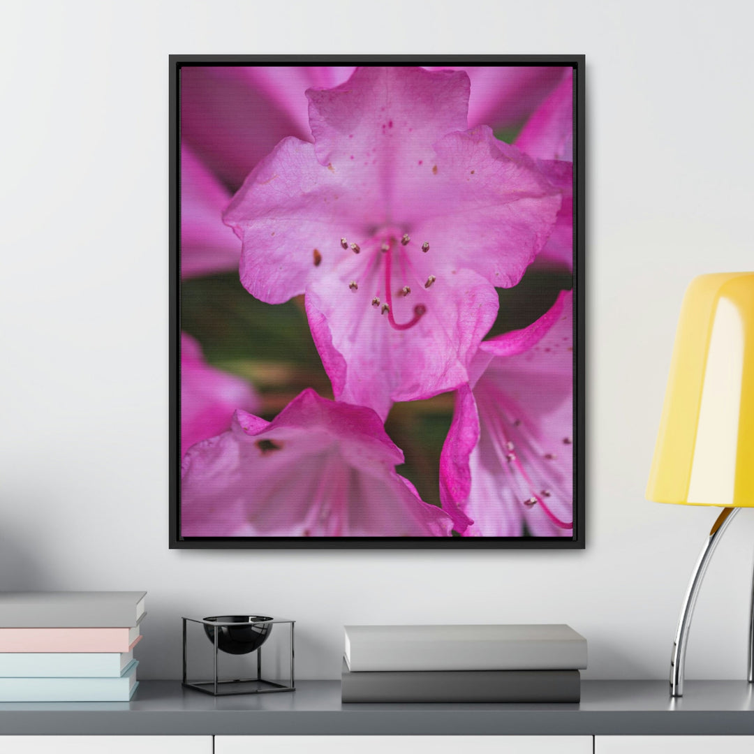 Soft Pinks - Canvas with Frame - Visiting This World