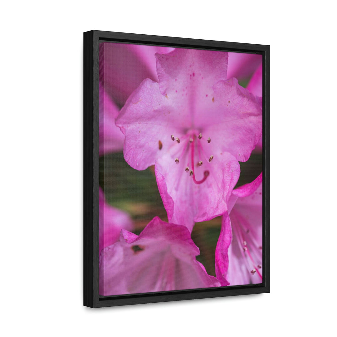 Soft Pinks - Canvas with Frame - Visiting This World