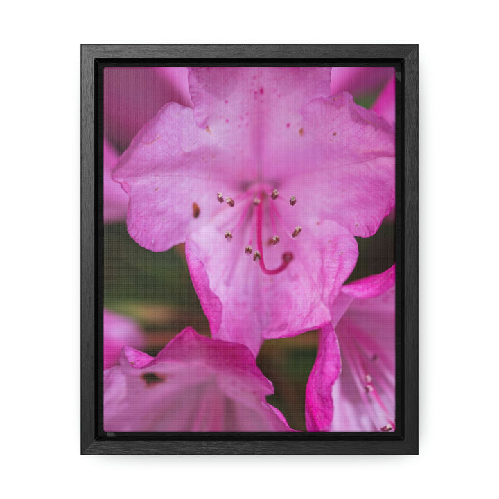 Soft Pinks - Canvas with Frame - Visiting This World