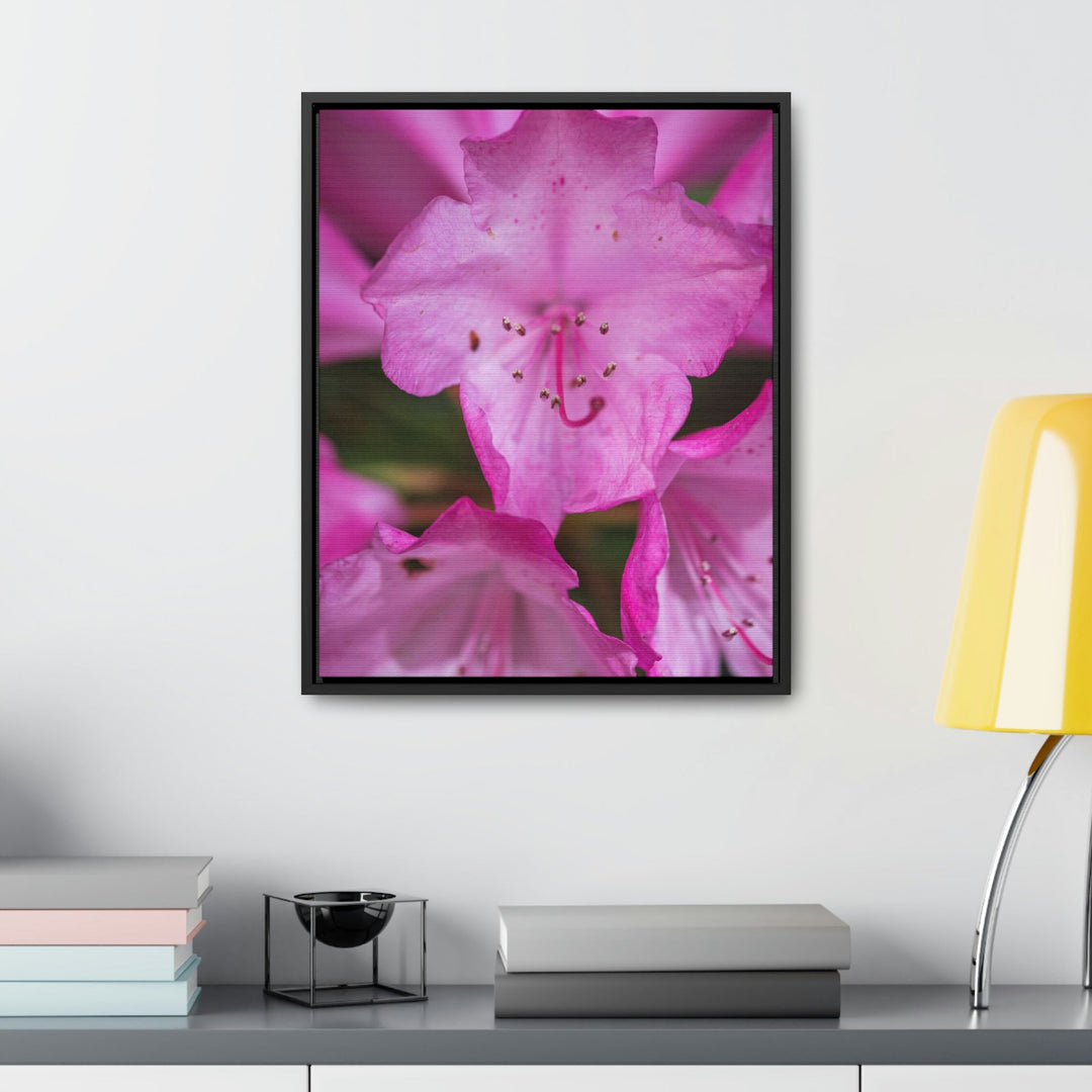 Soft Pinks - Canvas with Frame - Visiting This World