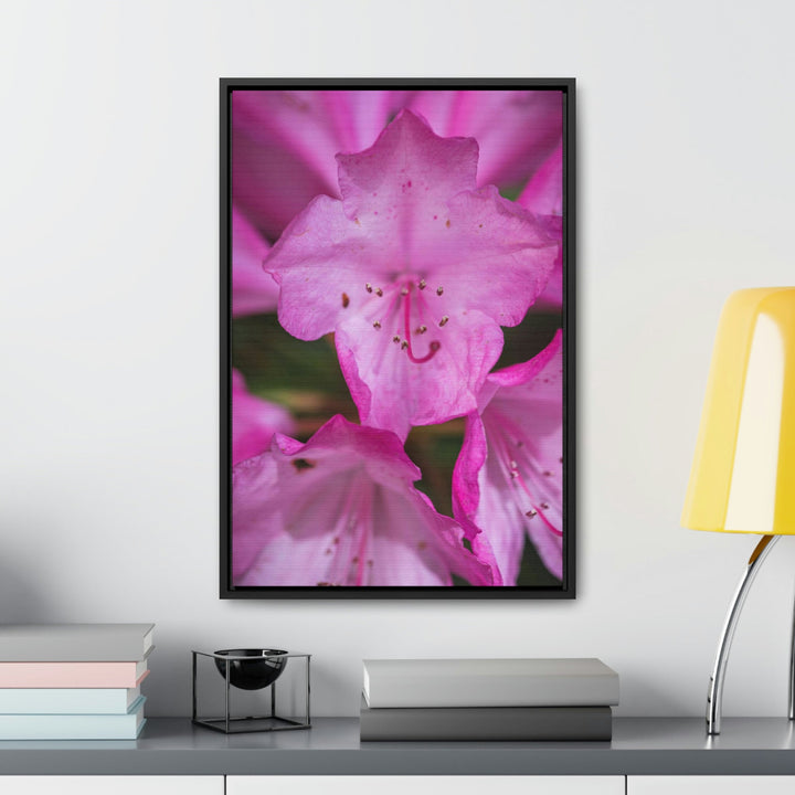 Soft Pinks - Canvas with Frame - Visiting This World