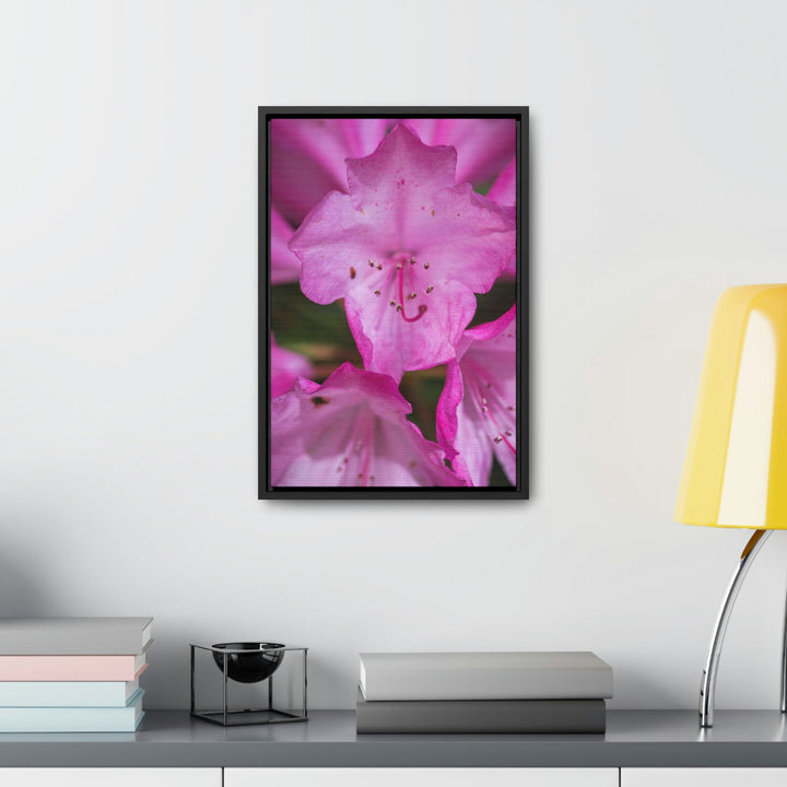 Soft Pinks - Canvas with Frame - Visiting This World