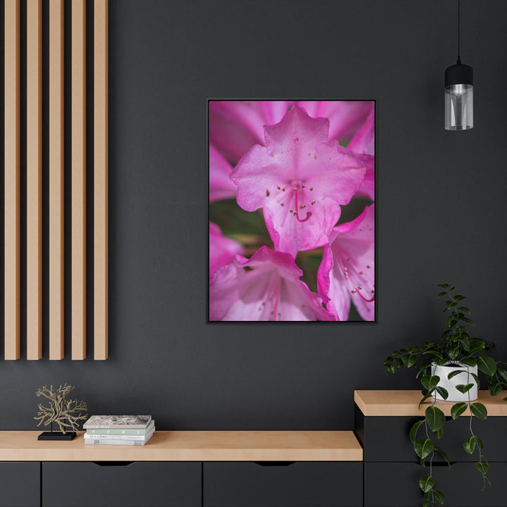 Soft Pinks - Canvas with Frame - Visiting This World