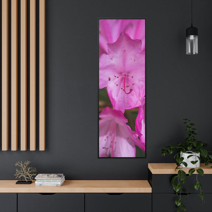 Soft Pinks - Canvas with Frame - Visiting This World