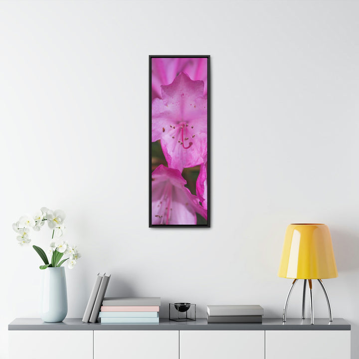 Soft Pinks - Canvas with Frame - Visiting This World