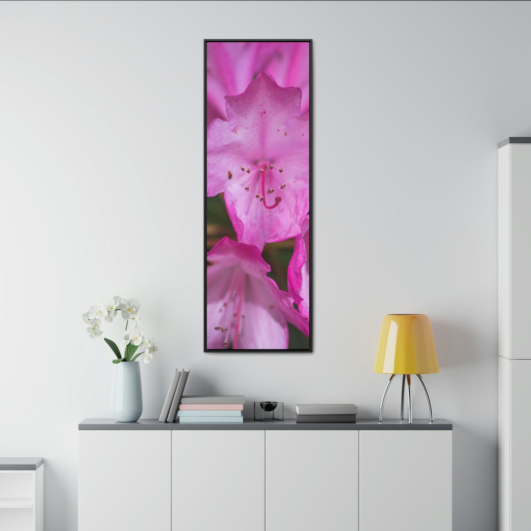 Soft Pinks - Canvas with Frame - Visiting This World