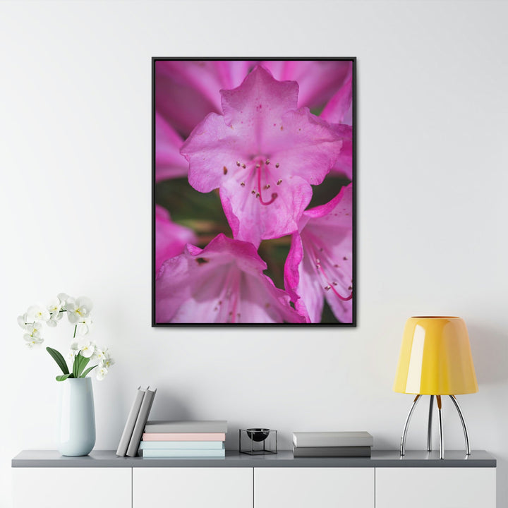 Soft Pinks - Canvas with Frame - Visiting This World