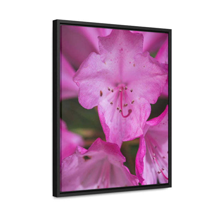 Soft Pinks - Canvas with Frame - Visiting This World