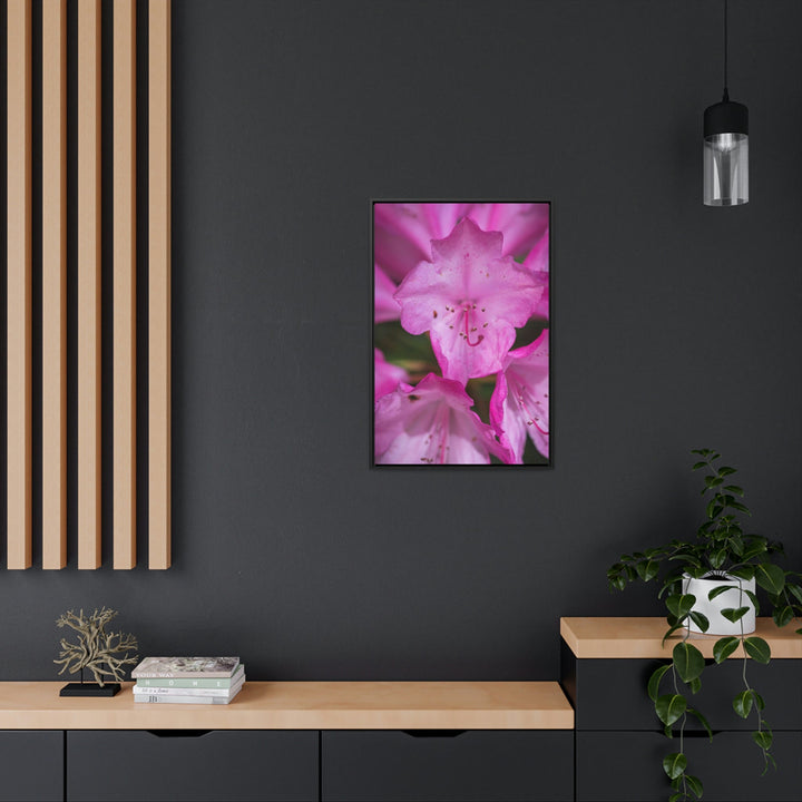 Soft Pinks - Canvas with Frame - Visiting This World