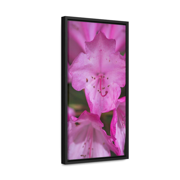 Soft Pinks - Canvas with Frame - Visiting This World