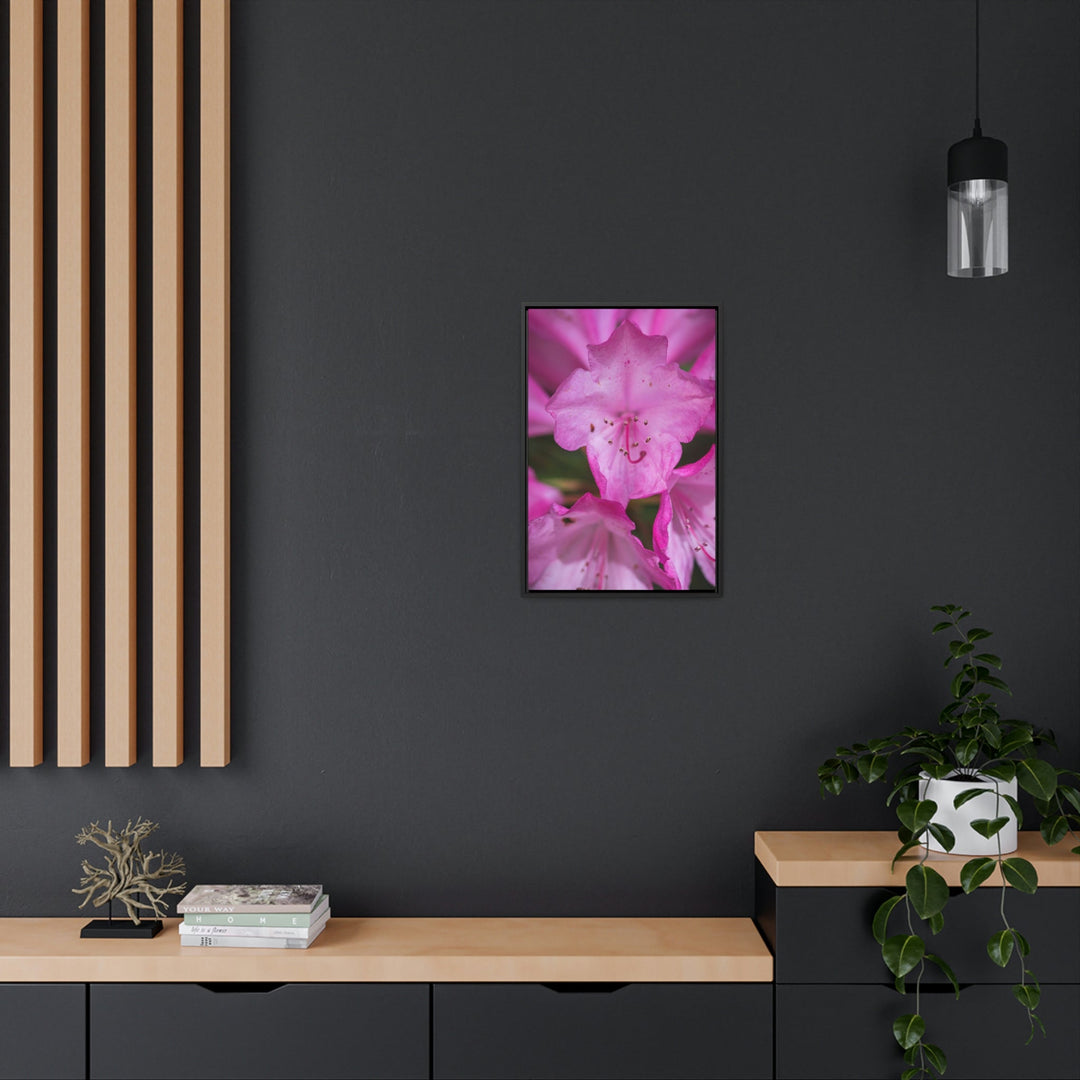 Soft Pinks - Canvas with Frame - Visiting This World