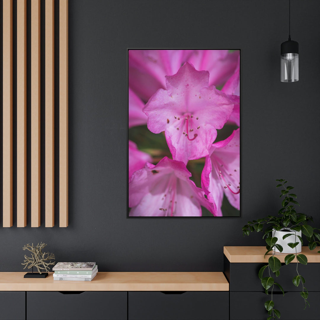 Soft Pinks - Canvas with Frame - Visiting This World