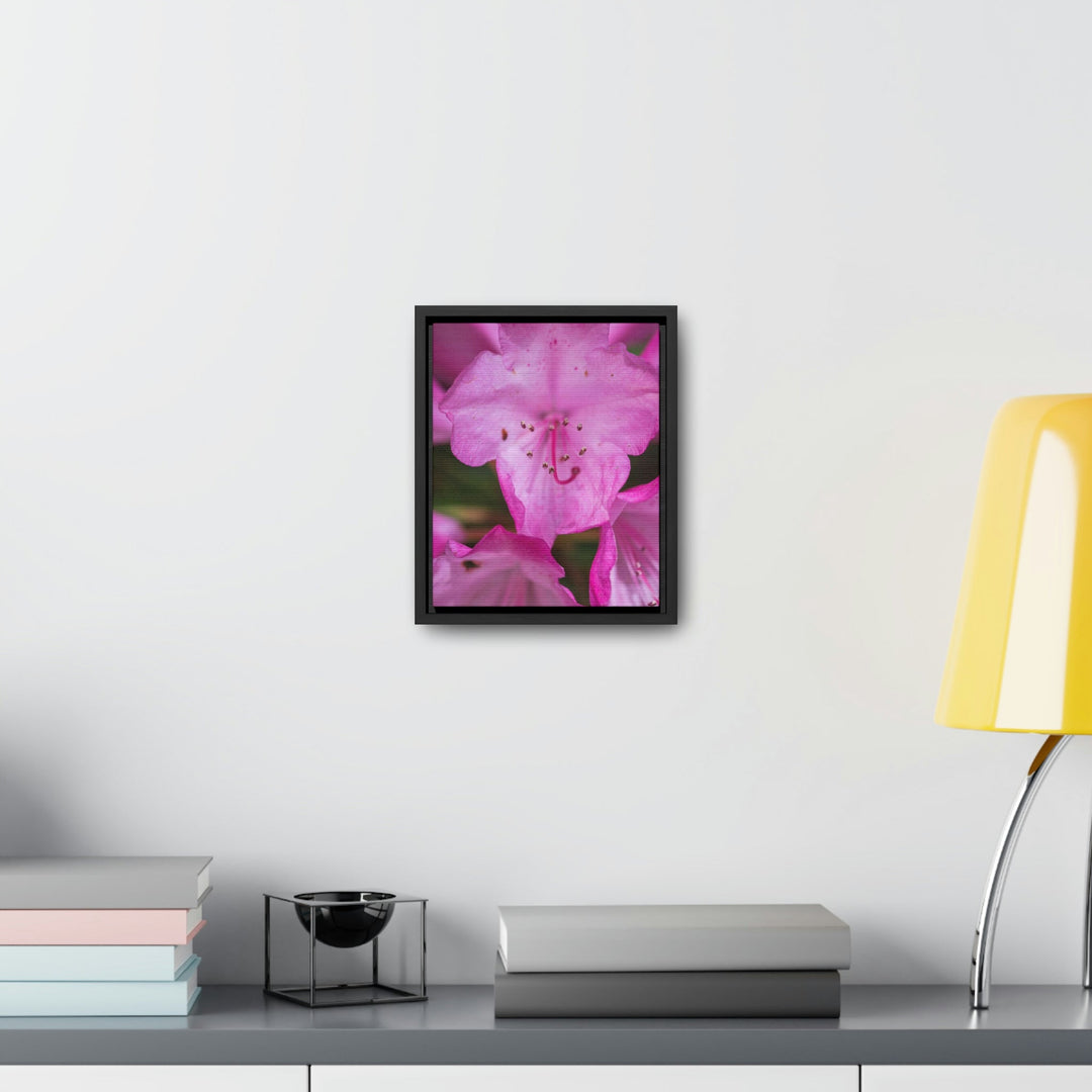 Soft Pinks - Canvas with Frame - Visiting This World