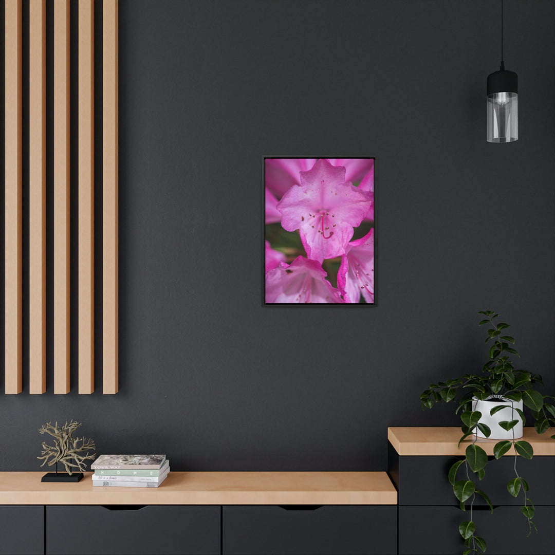 Soft Pinks - Canvas with Frame - Visiting This World