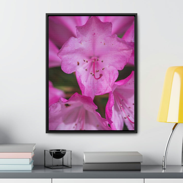 Soft Pinks - Canvas with Frame - Visiting This World