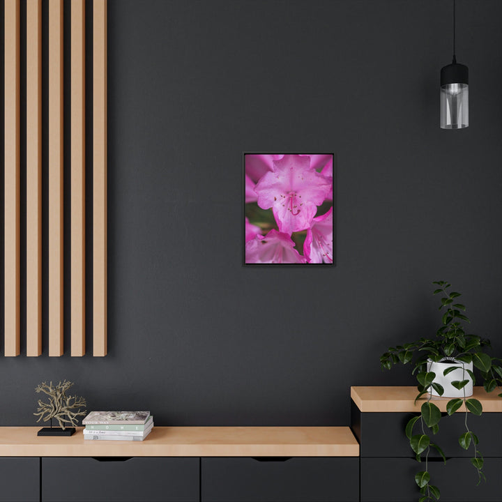 Soft Pinks - Canvas with Frame - Visiting This World