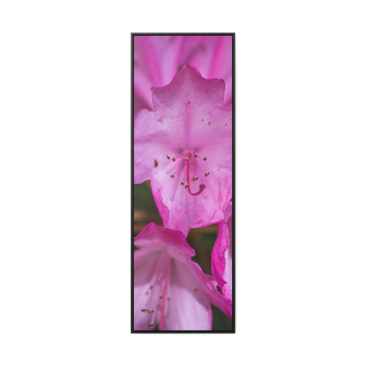 Soft Pinks - Canvas with Frame - Visiting This World