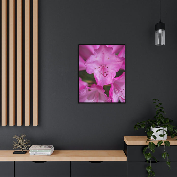 Soft Pinks - Canvas with Frame - Visiting This World