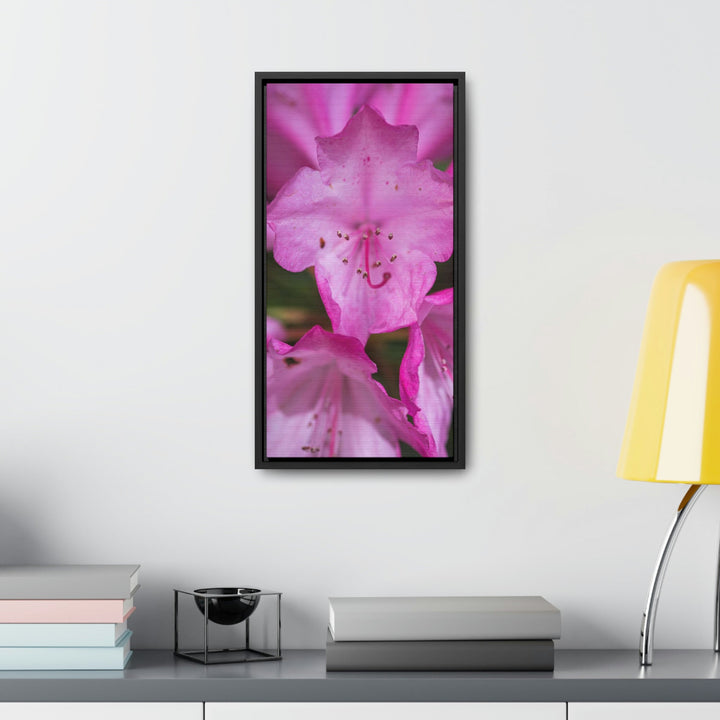 Soft Pinks - Canvas with Frame - Visiting This World