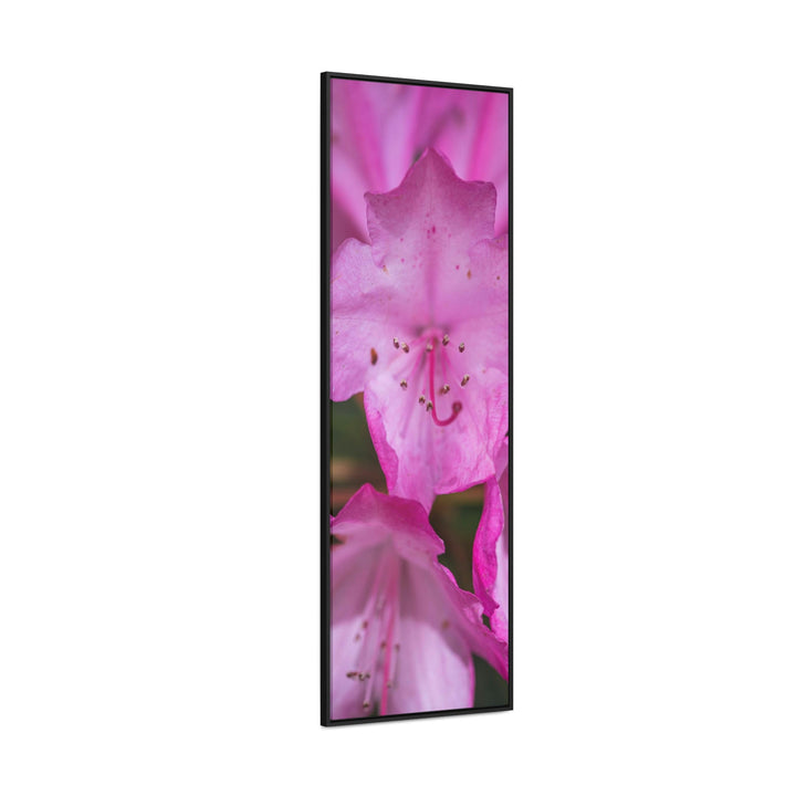 Soft Pinks - Canvas with Frame - Visiting This World