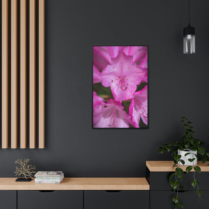 Soft Pinks - Canvas with Frame - Visiting This World