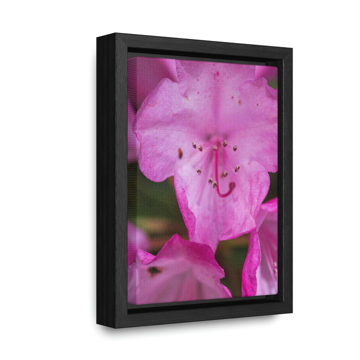 Soft Pinks - Canvas with Frame - Visiting This World