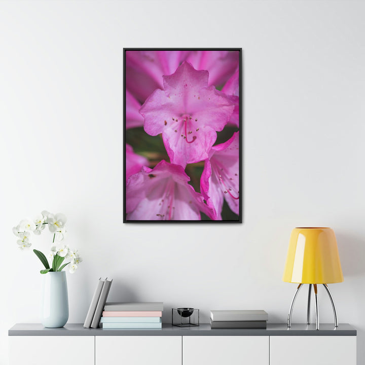 Soft Pinks - Canvas with Frame - Visiting This World