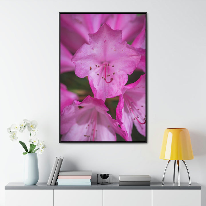 Soft Pinks - Canvas with Frame - Visiting This World