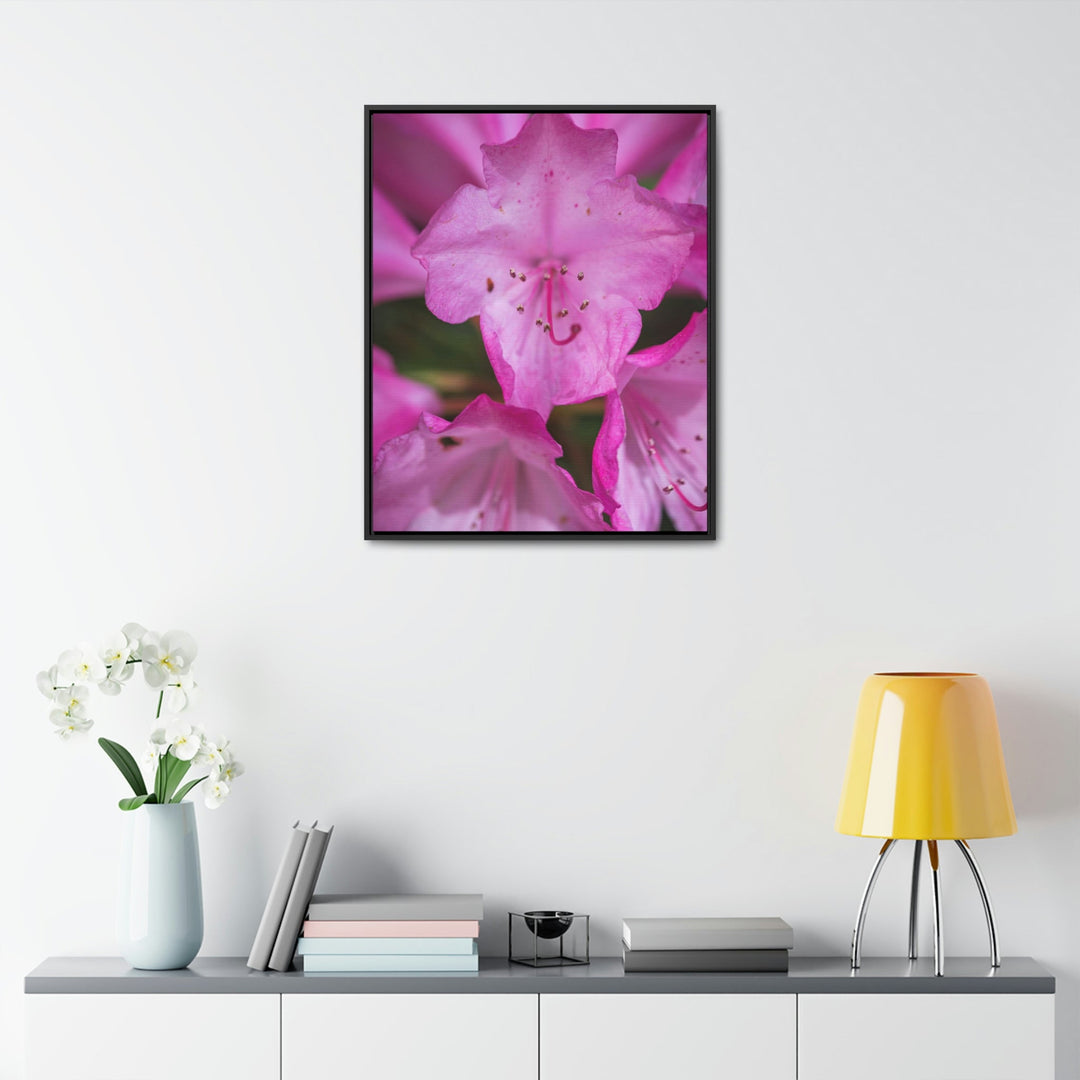 Soft Pinks - Canvas with Frame - Visiting This World