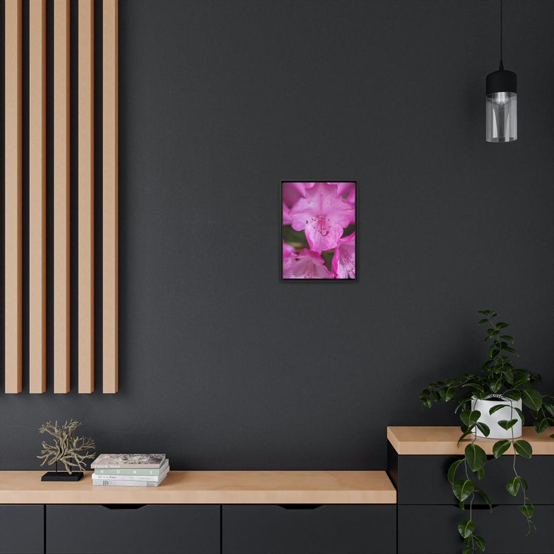 Soft Pinks - Canvas with Frame - Visiting This World