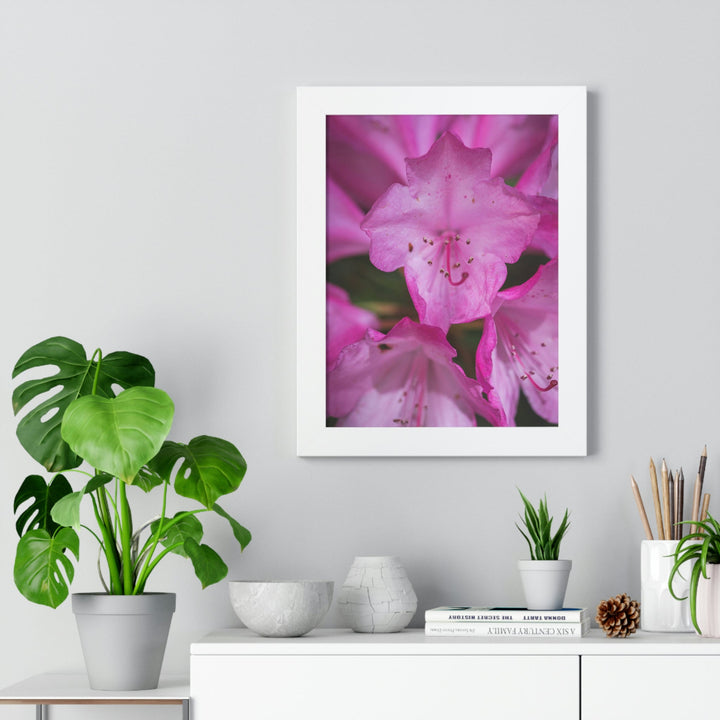 Soft Pinks - Framed Print - Visiting This World