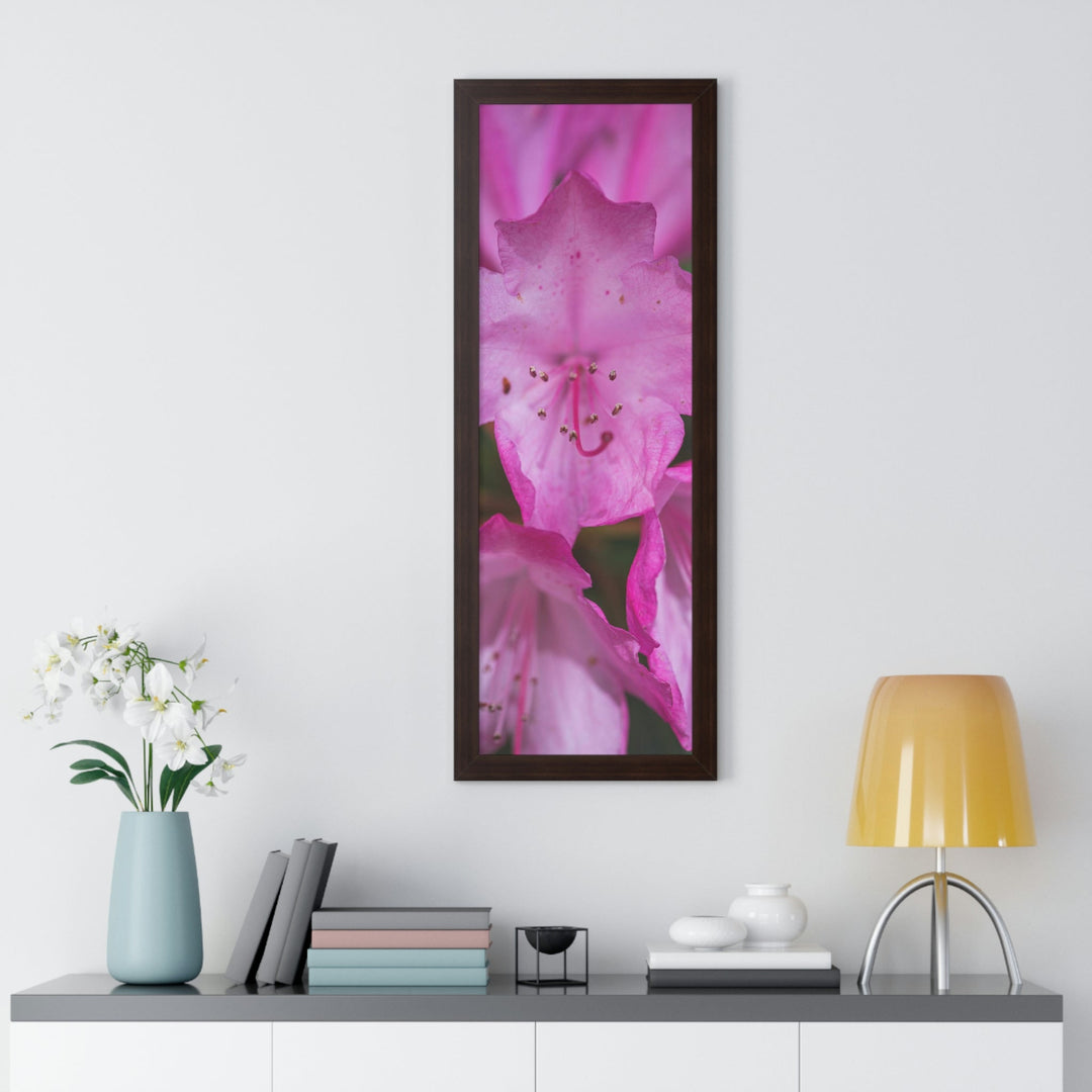 Soft Pinks - Framed Print - Visiting This World