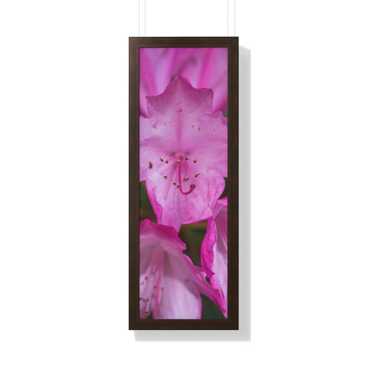 Soft Pinks - Framed Print - Visiting This World