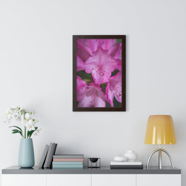 Soft Pinks - Framed Print - Visiting This World