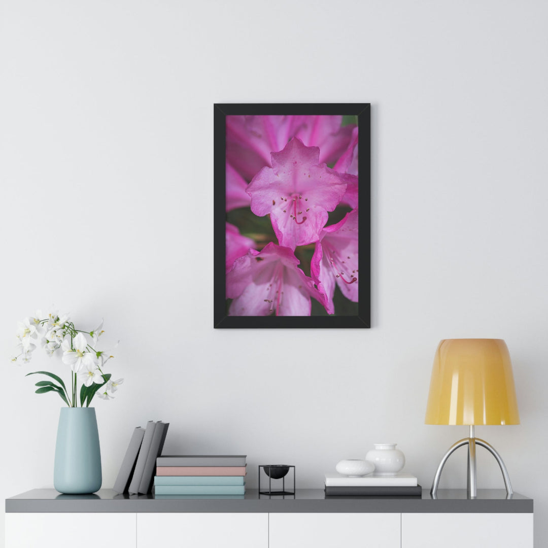 Soft Pinks - Framed Print - Visiting This World