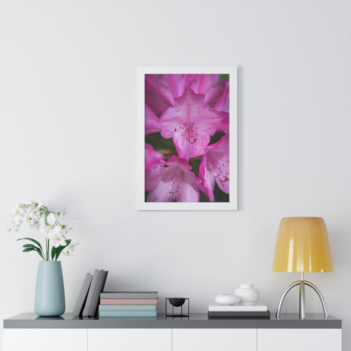 Soft Pinks - Framed Print - Visiting This World