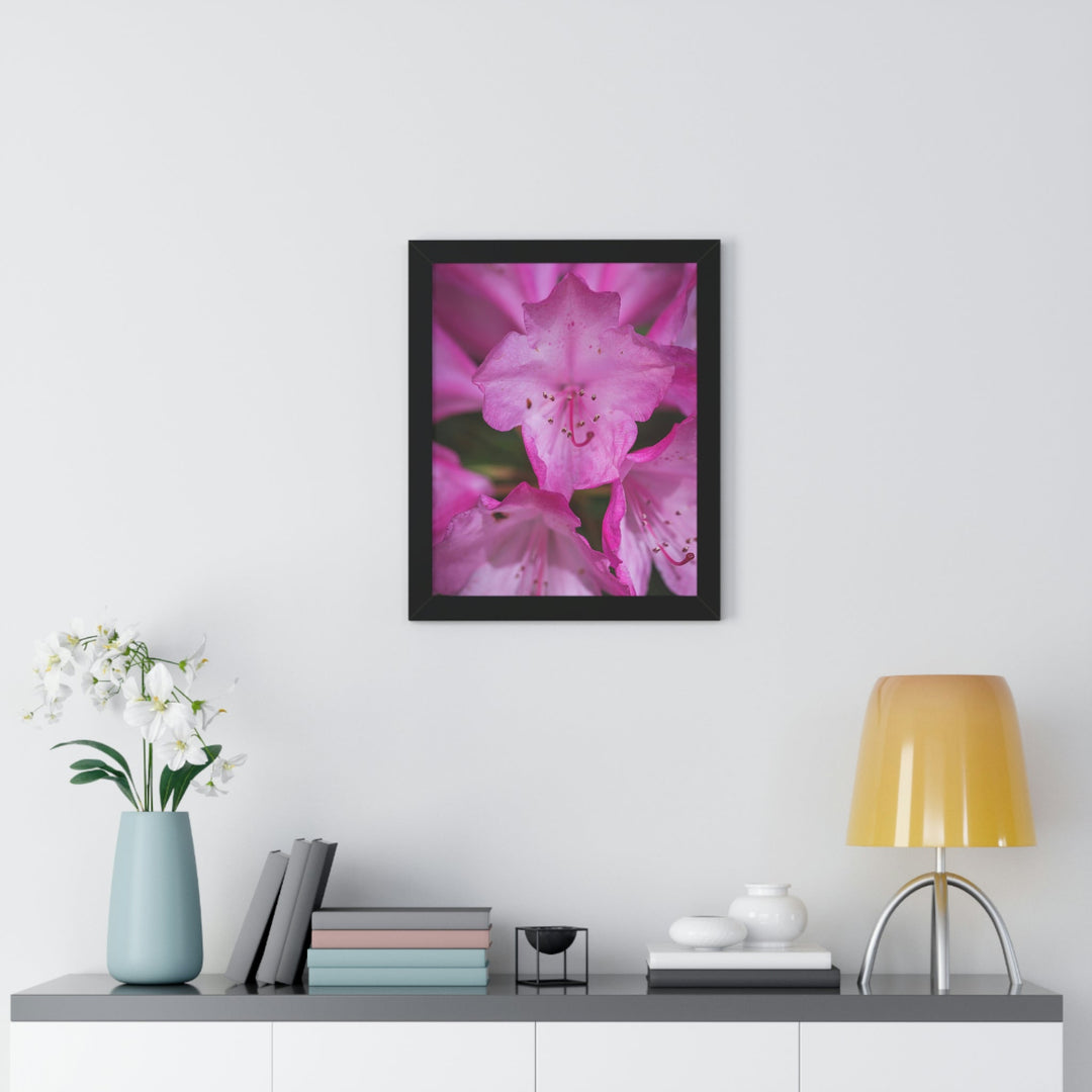 Soft Pinks - Framed Print - Visiting This World