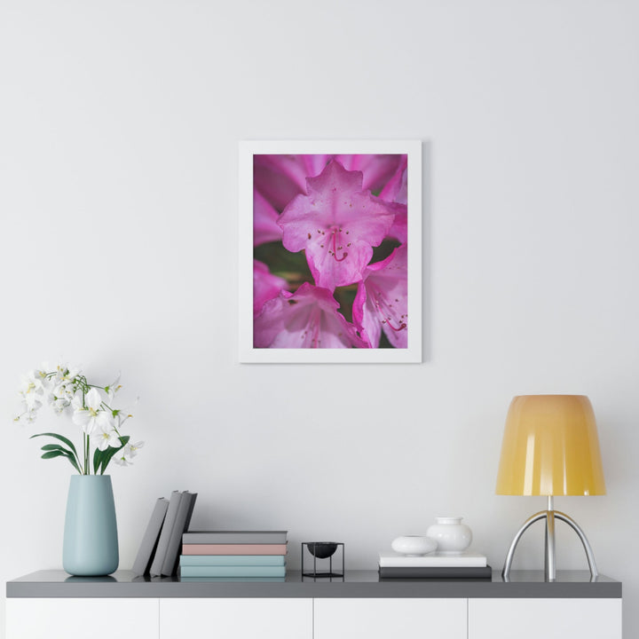 Soft Pinks - Framed Print - Visiting This World