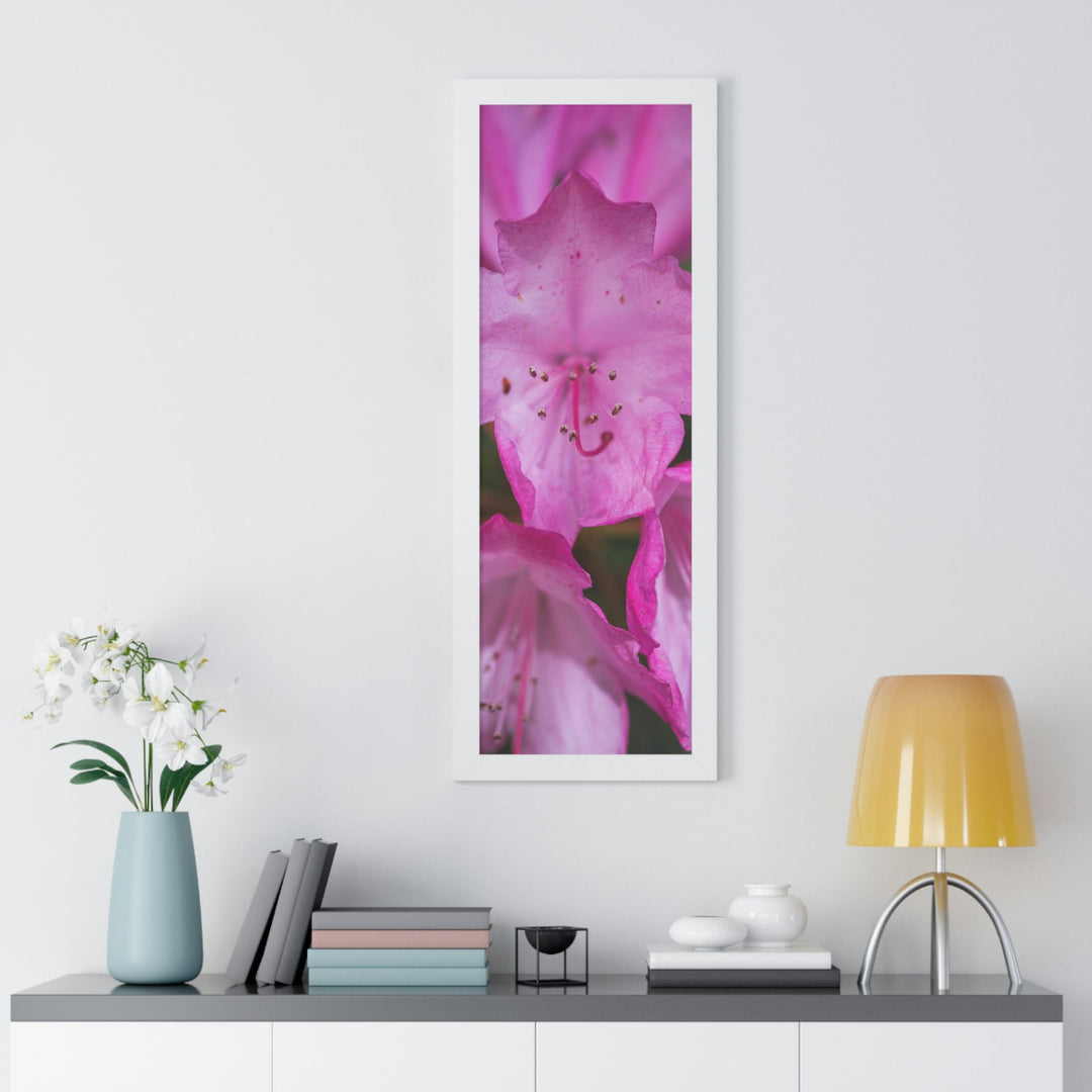 Soft Pinks - Framed Print - Visiting This World