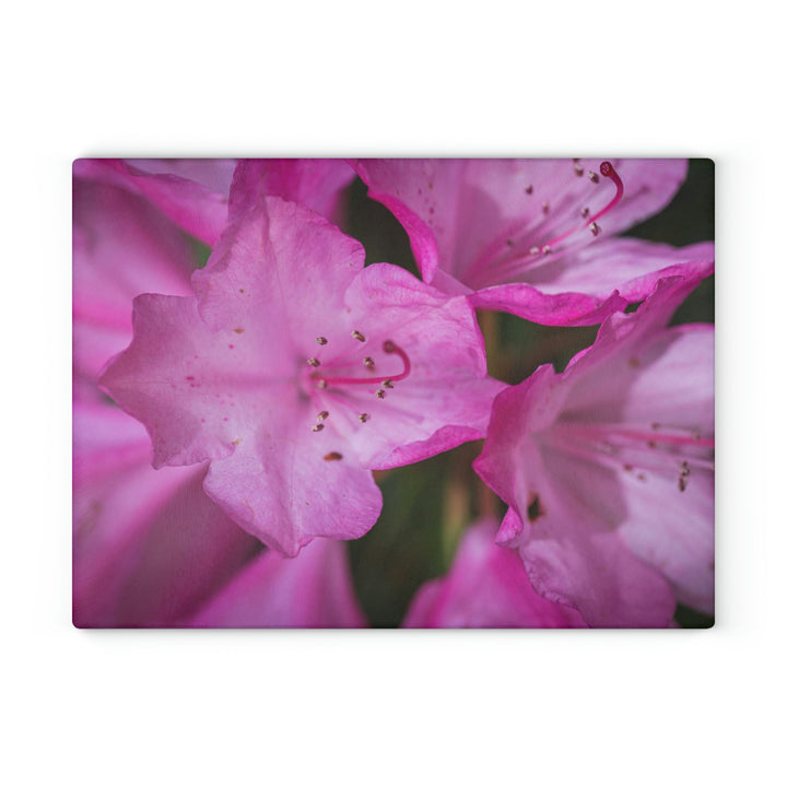 Soft Pinks - Glass Cutting Board - Visiting This World