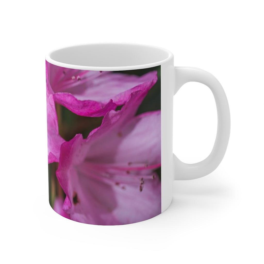 Soft Pinks - Mug 11oz - Visiting This World