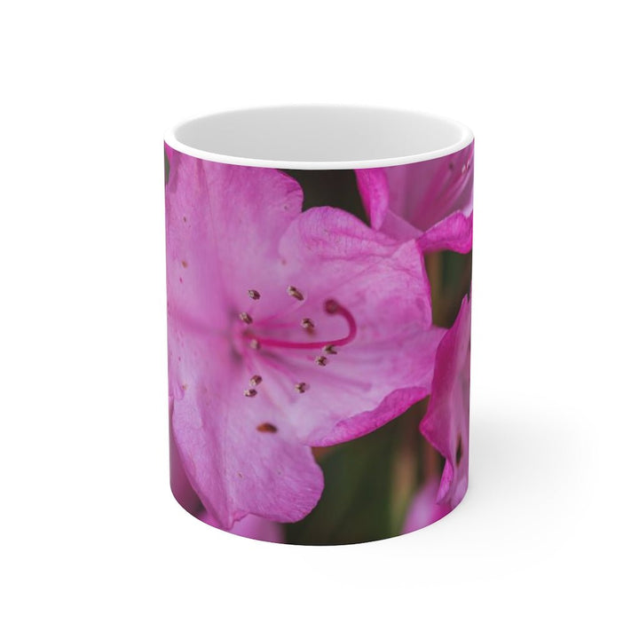 Soft Pinks - Mug 11oz - Visiting This World