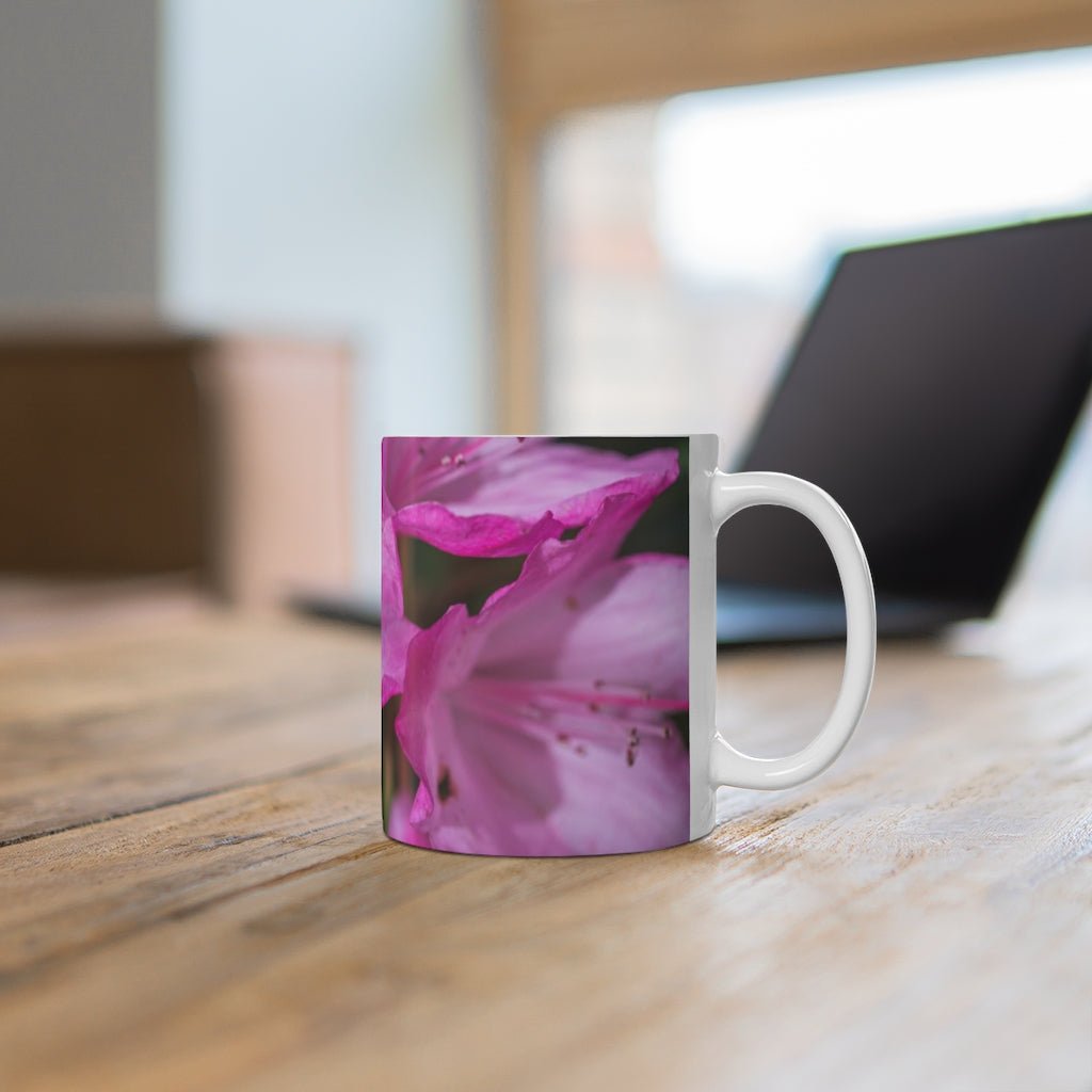 Soft Pinks - Mug 11oz - Visiting This World