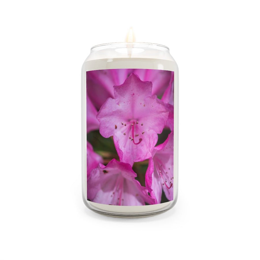 Soft Pinks - Scented Candle, 13.75oz - Visiting This World