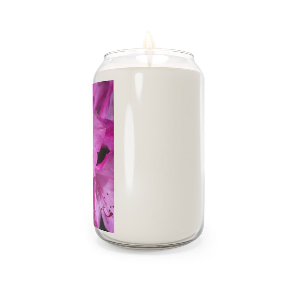 Soft Pinks - Scented Candle, 13.75oz - Visiting This World