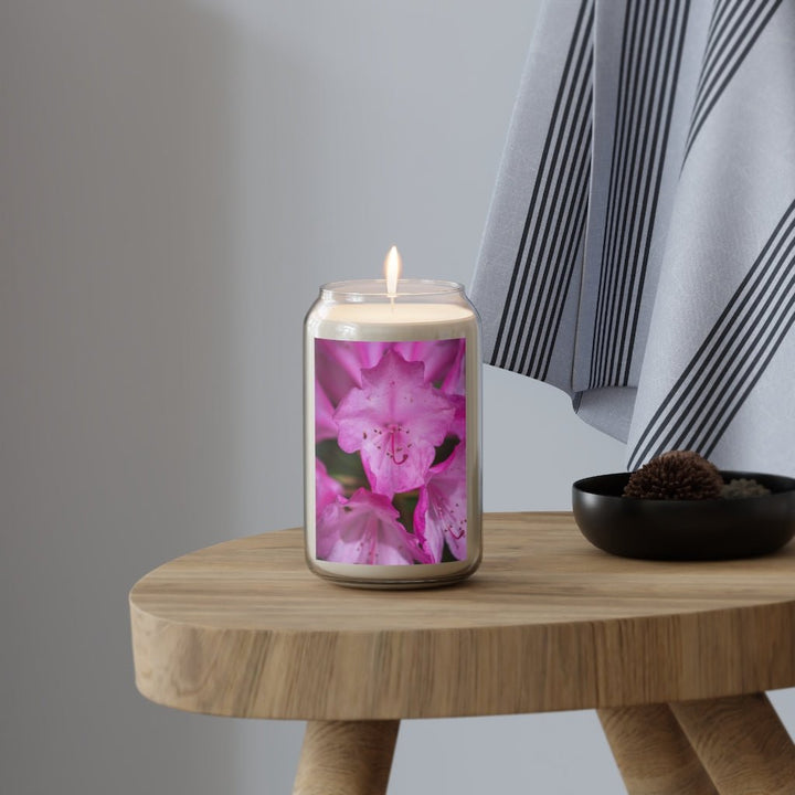 Soft Pinks - Scented Candle, 13.75oz - Visiting This World